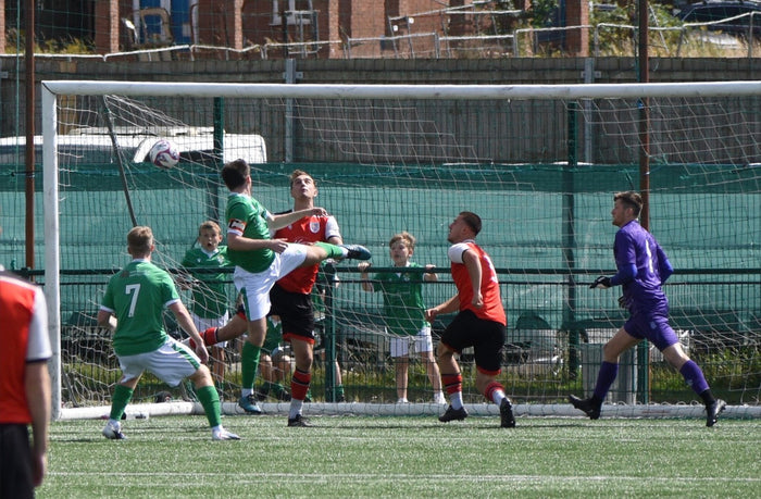 Staffo’s Linnets Hit the Ground Running
